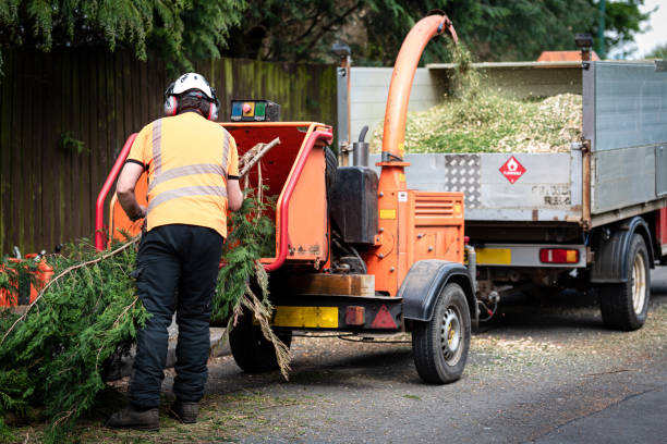 Tree Service Company in Lithia Springs, GA